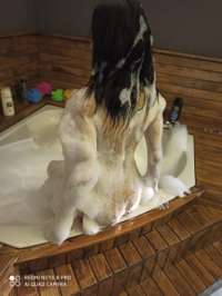 Anamur'un Sıra Dışı Güzeli - Escort Bade