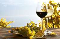 Sevimli, Yetenekli, Cazibeli Silifke Eskort Bayan